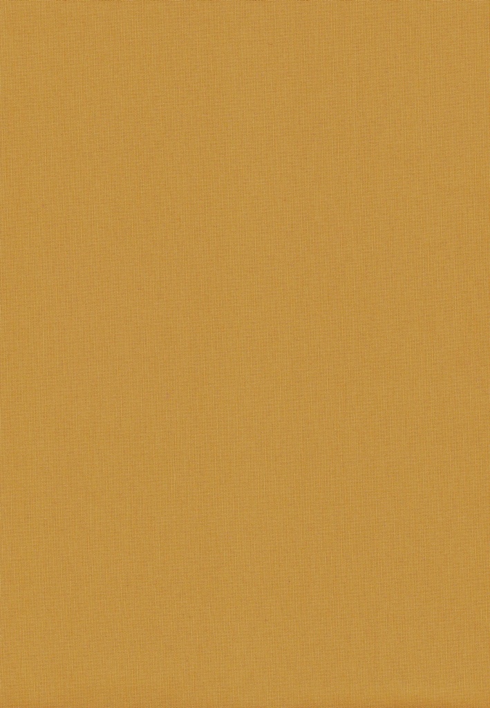 Loneta Jupiter C/45